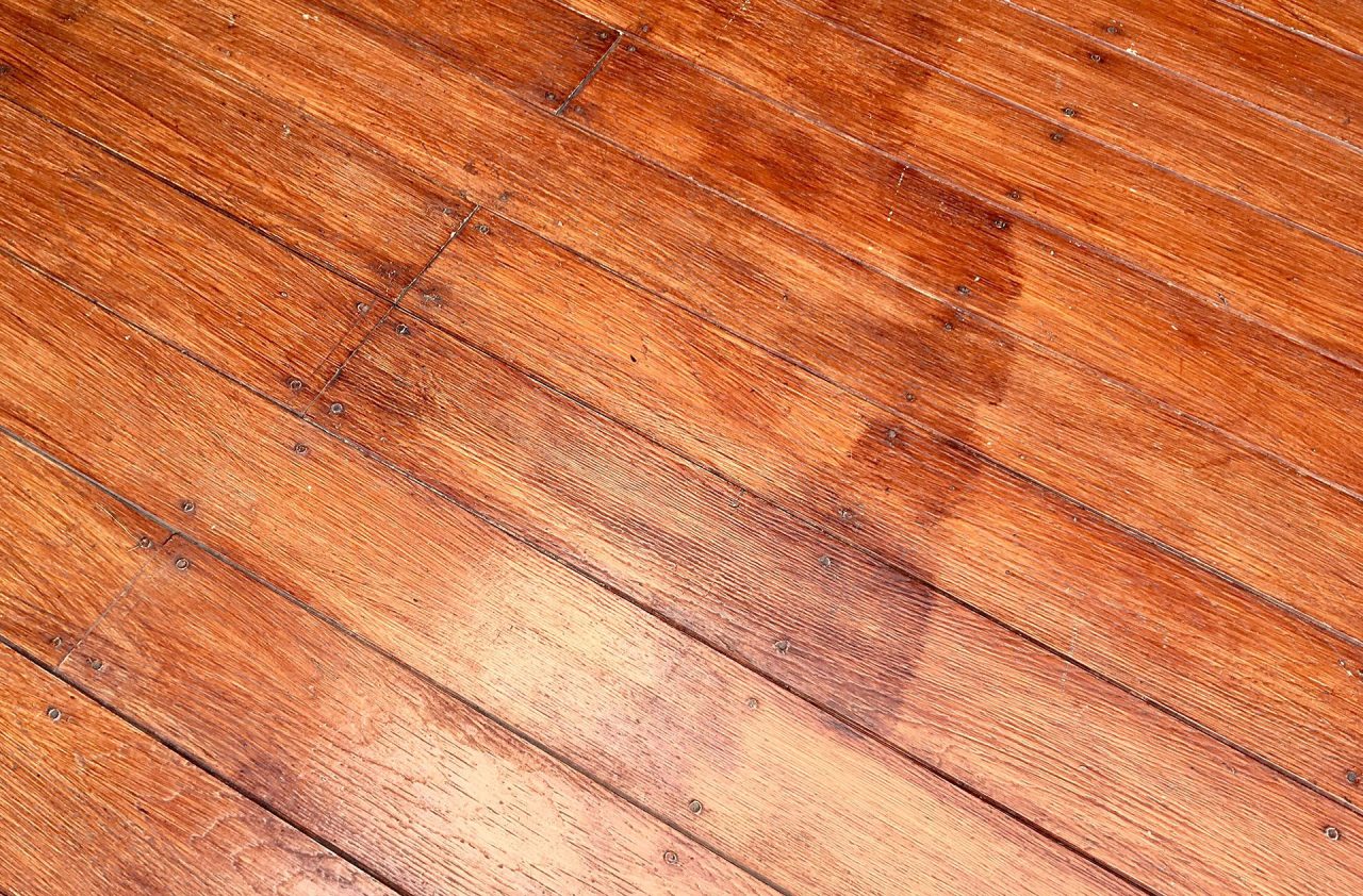 https://lvflooring.ca/wp-content/uploads/2023/08/pet-stains-on-floors-1280x842.jpg