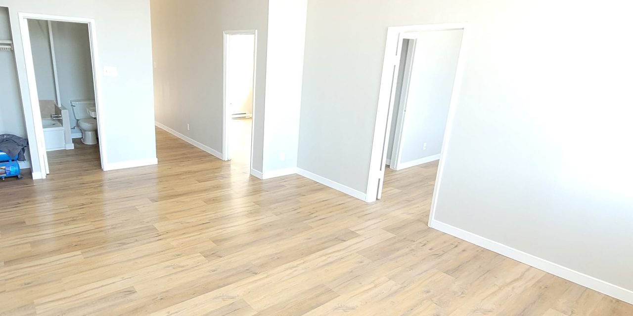 https://lvflooring.ca/wp-content/uploads/2024/08/vinyl-flooring-for-whole-house-1280x640.jpg