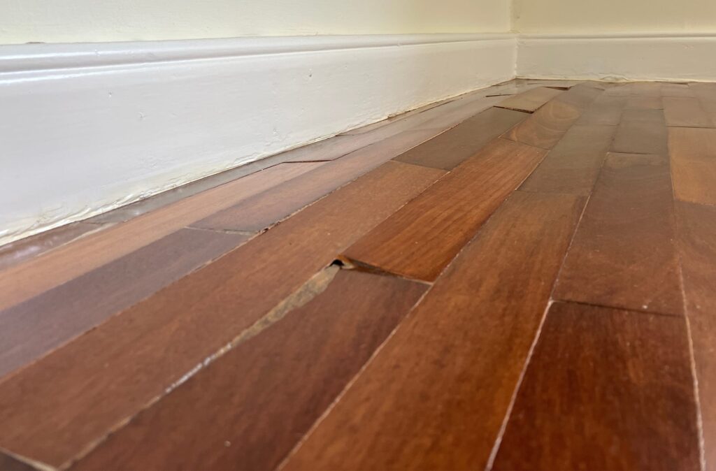 water damage wood floor banner