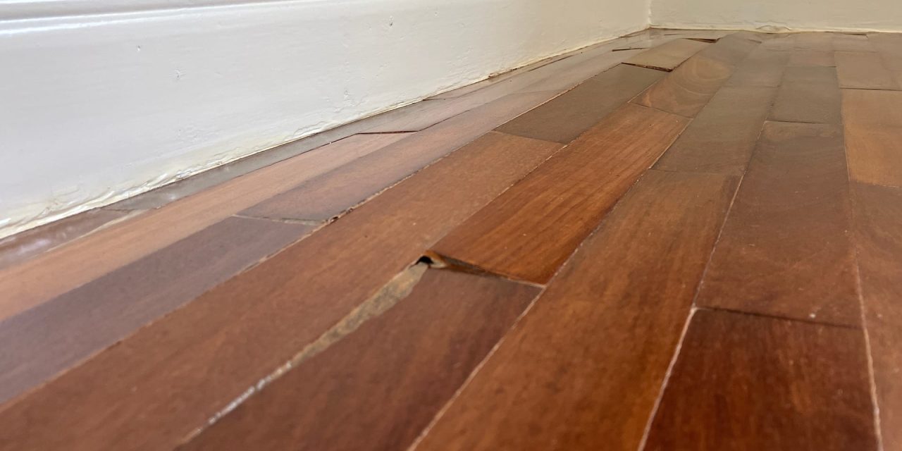 https://lvflooring.ca/wp-content/uploads/2024/10/water-damage-wood-floor-banner-1280x640.jpg