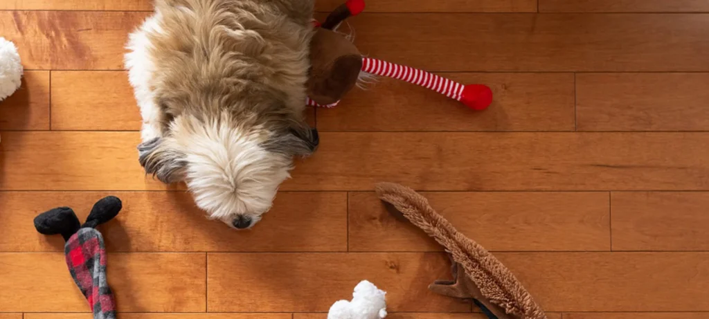 pet-friendly flooring