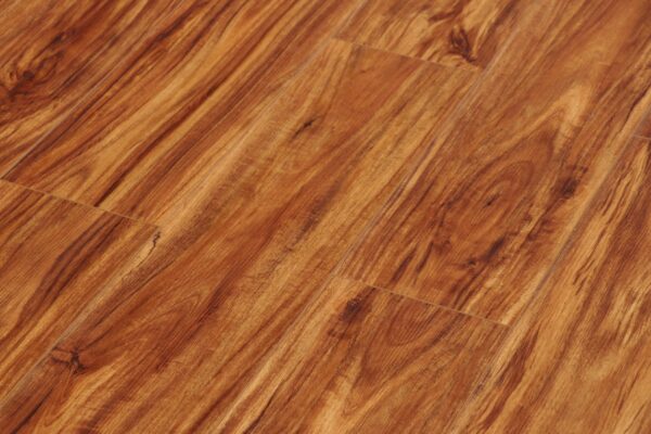 Amber Acacia - Image 4