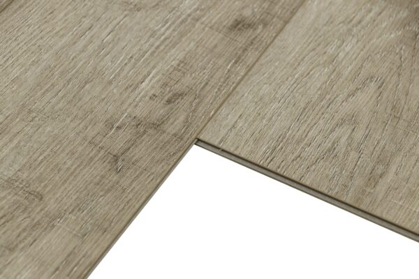 Buona Vista - Image 2