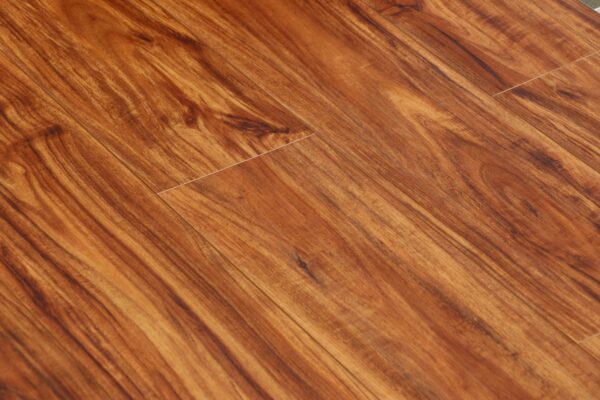 Amber Acacia - Image 3