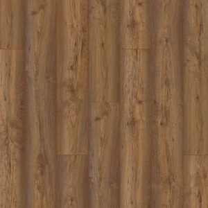 Authentic - Element Chinook