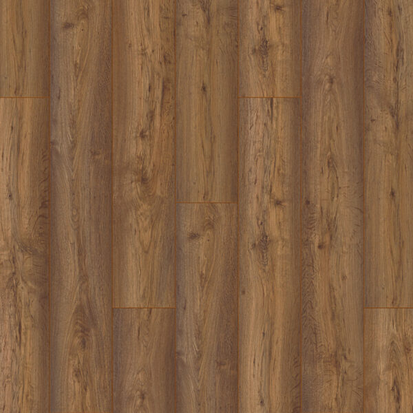 Authentic - Element Chinook