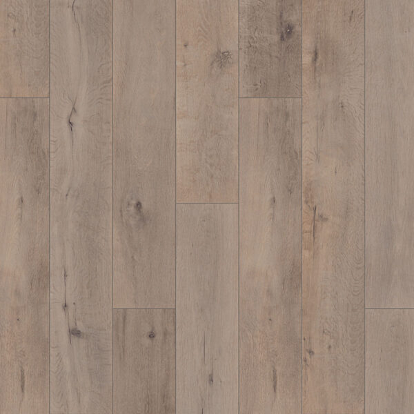 Authentic - Nature Yukon