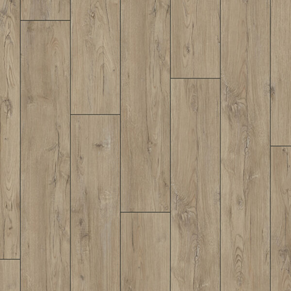 Authentic - Premium Chestnut Azov