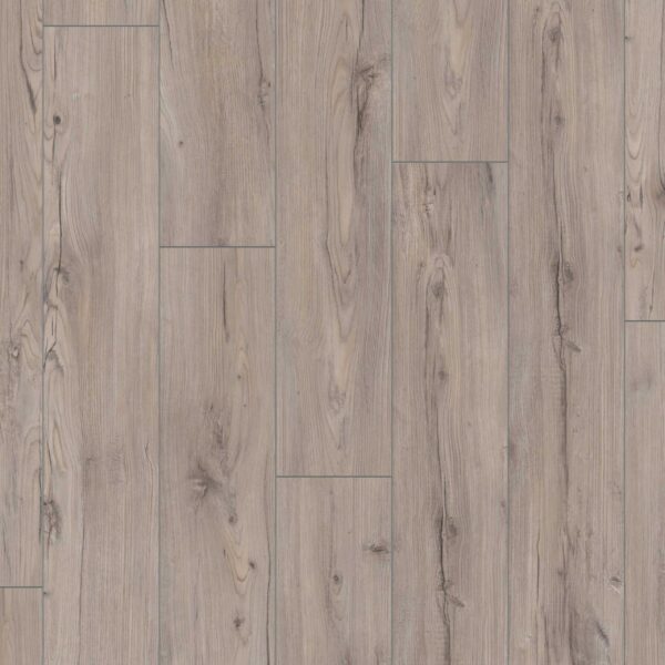 Authentic - Premium Chestnut Torres