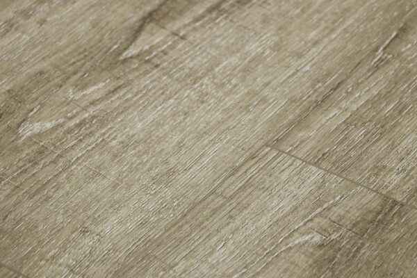 Buona Vista - Image 4