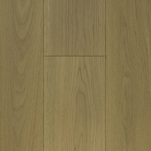 70009521/2" Oak Day Break