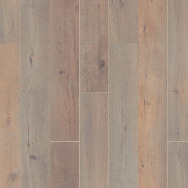 Authentic - H2Organic Danube