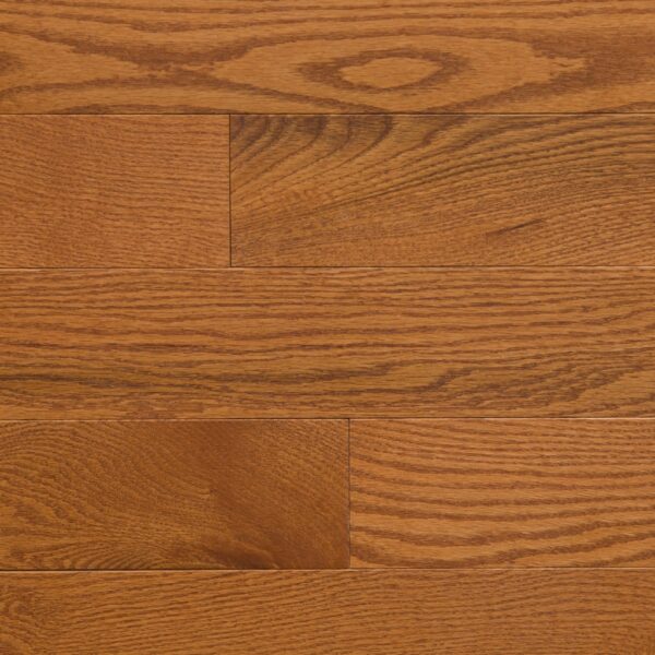 Red Oak Sahara