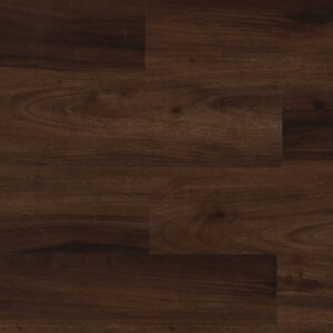 Evolution Magma Irazu