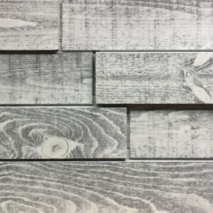 Wall Concept Elevation Wild Eclipse