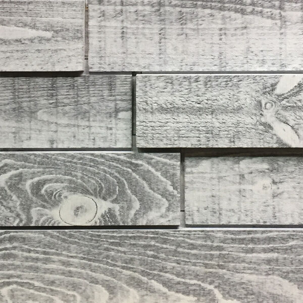 Wall Concept Elevation Wild Eclipse