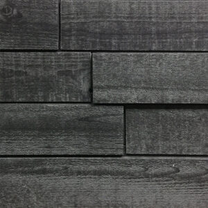 Wall Concept Elevation Wild Shadow