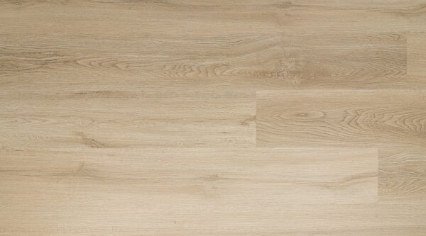 California - Image 3