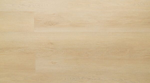 Connecticut - Image 3