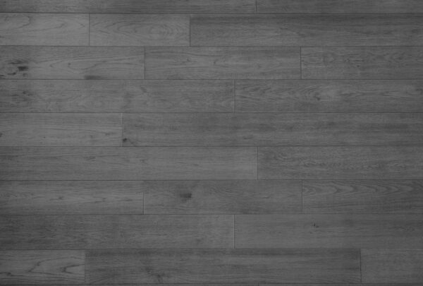 Coyote | Hickory - Image 2