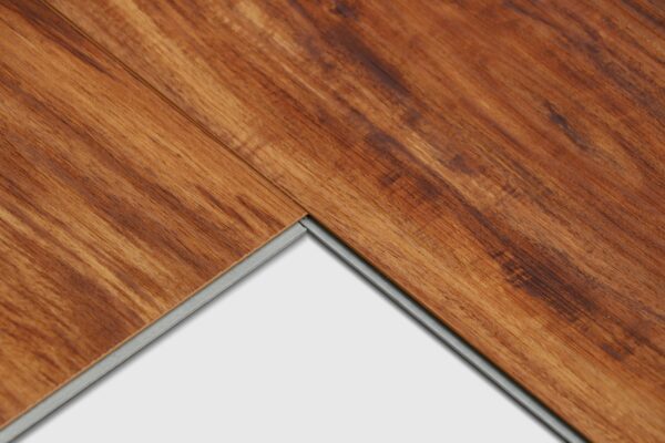 Amber Acacia - Image 2