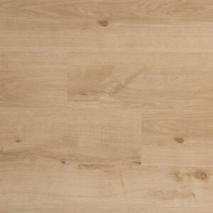 Evolution Magma Nevado