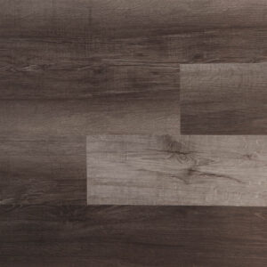 Evolution Magma Fuji