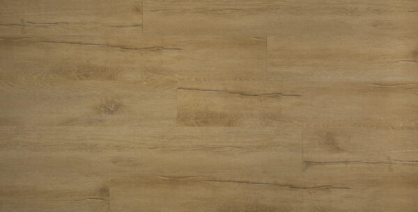 Ontario Oak - Image 3