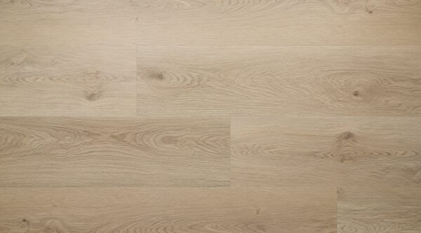 Summer Shade - Image 2