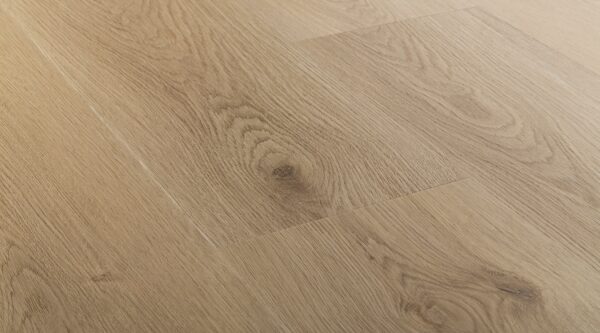 Summer Shade - Image 3